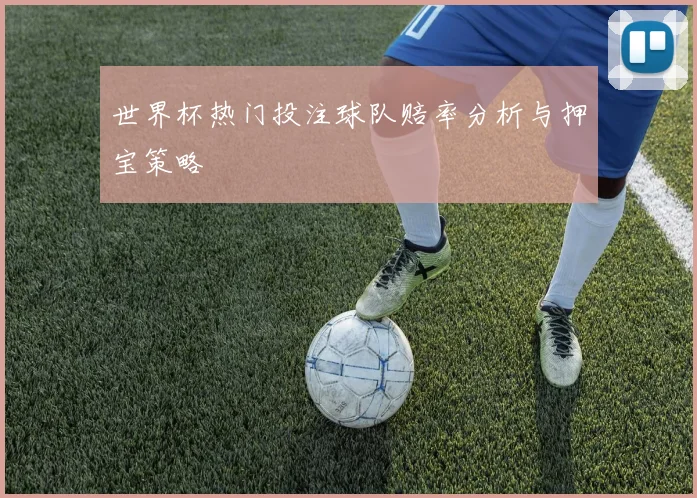 世界杯热门投注球队赔率分析与押宝策略